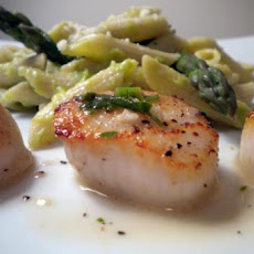 Savory Sea Scallops in White Wine Sauce