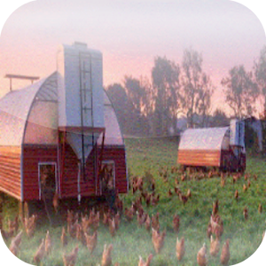 Poultry Breeding Calculator.apk 1