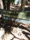 Garawarra Ridge Trail