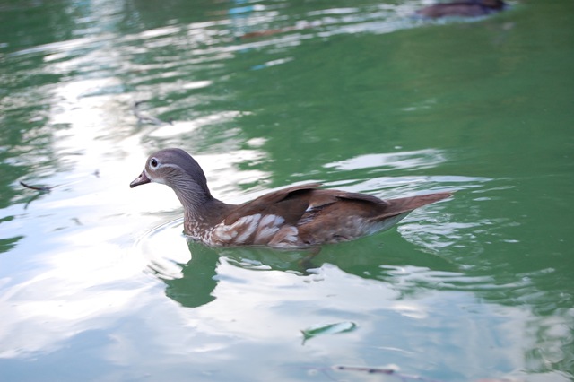 [DSC_00015.jpg]