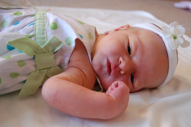 [DSC_0588[5].jpg]