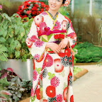 Japanese Kimono wafuku