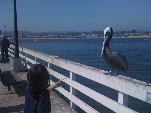 Spotting Image 1