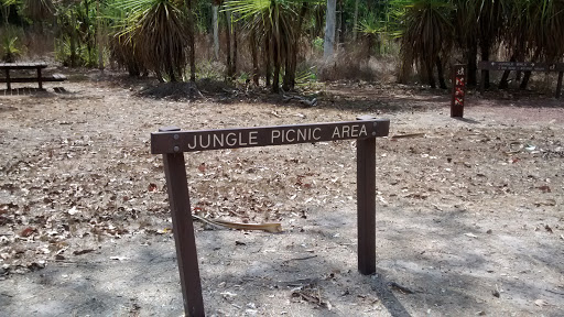 Holmes Jungle - Jungle Picnic Area 