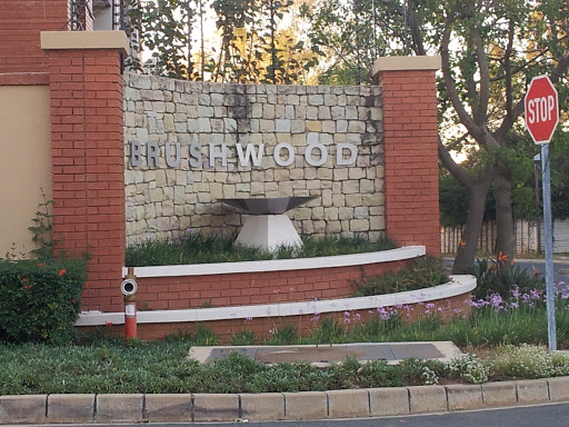 Brushwood 