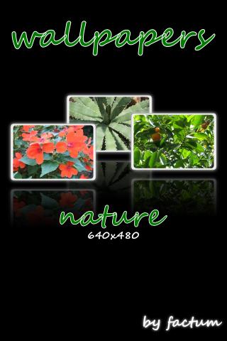 wallpapers-nature-640x480-ZERO