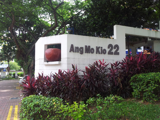 Ang Mo Kio 22