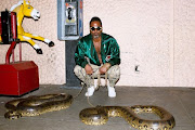 Shabazz Palaces