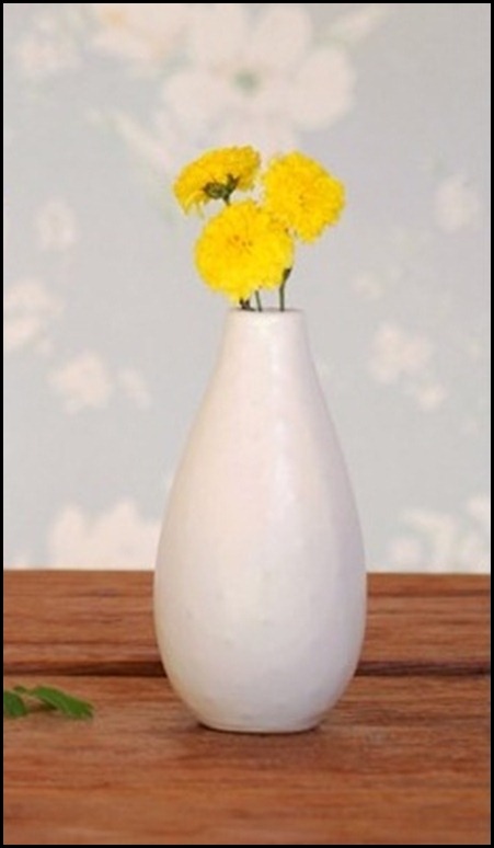 bud-vases-flowers_thumb[2]