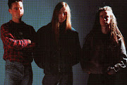 Carcass
