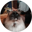 Image Google de corinne perrier