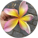 Image Google de Valery Gallet