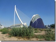 IMG_5548 IMG_5548