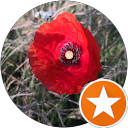 Image Google de Marie Joly