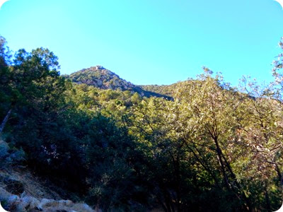Santa Rita Mountains 