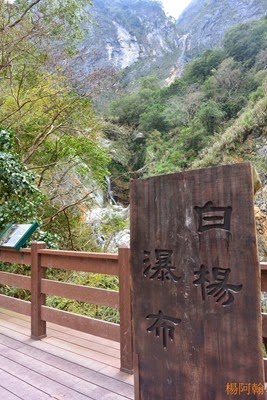 0222 219  - 白楊步道和瀑布