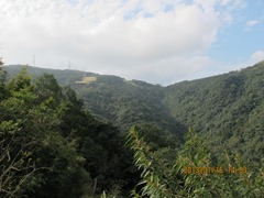 IMG_7589