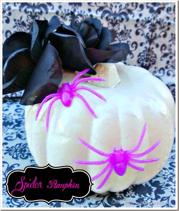 spider pumpkin