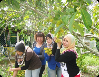 IMG_1526 IMG_1526
