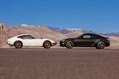Scion_FRS_2013_002