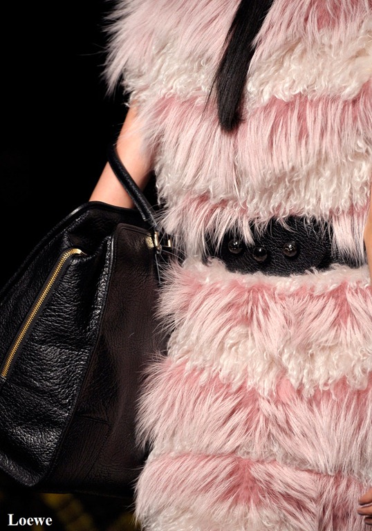 [loewe-rtw-fw2012-details-043_1820523.jpg]