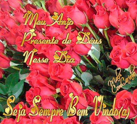 SEMPREBEMVINDO-%25282%2529.gif