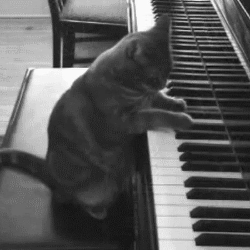 febrero 2013 Blog de imágenes