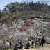 DA★ 16-50mm F2.8ED AL[IF]SDM
