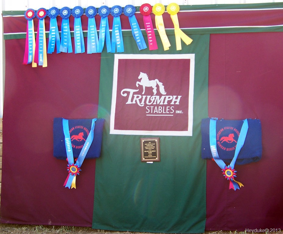 [Ribbons%2520at%2520Horse%2520Event%255B5%255D.jpg]