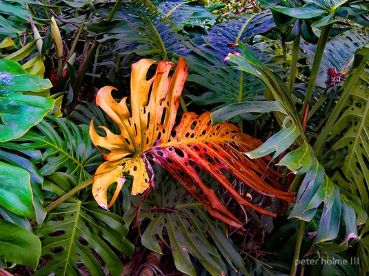 [clip_image033%255B3%255D.jpg]