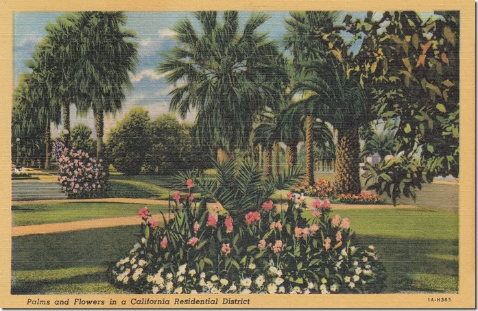 Palms and Flowers in a California Residential District Pg. 1
