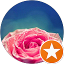 Marius Bonta profile picture