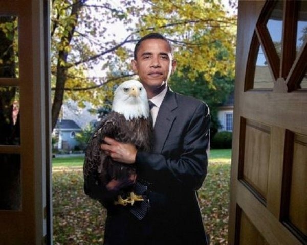 [Obama%2520eagle%255B4%255D.jpg]