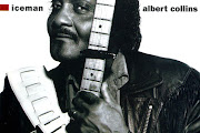 Albert Collins
