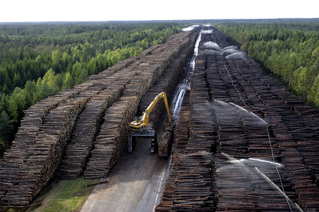 sweden-is-home-to-the-worlds-largest-storage-of-wood.jpeg