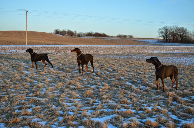 What's that? (photo by Trisha Field)