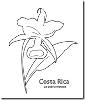 guaria morada costa Rica jugarycolorear 1