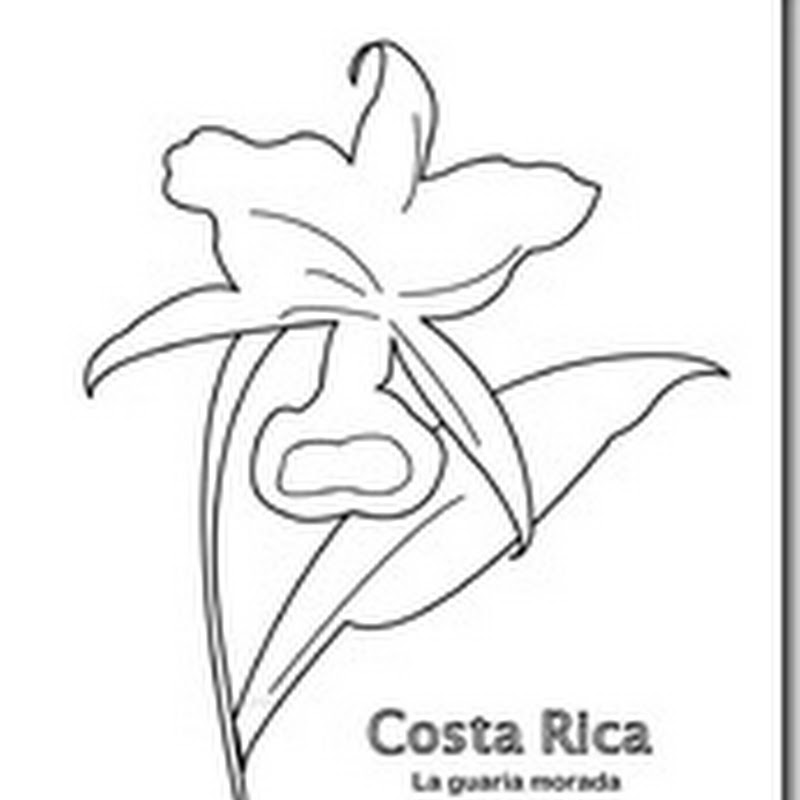 Costa Rica colorear Símbolos patrios 