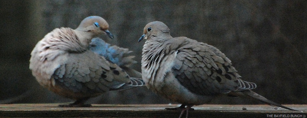 [DSC_9127%255B4%255D.jpg]