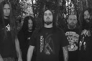 Disgorge