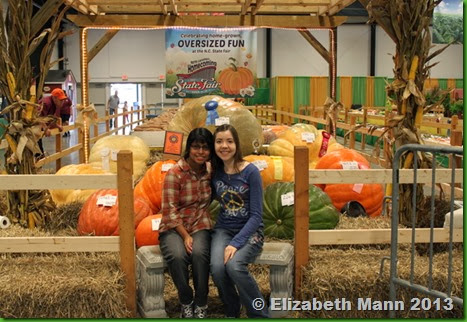 Giant pumpkins