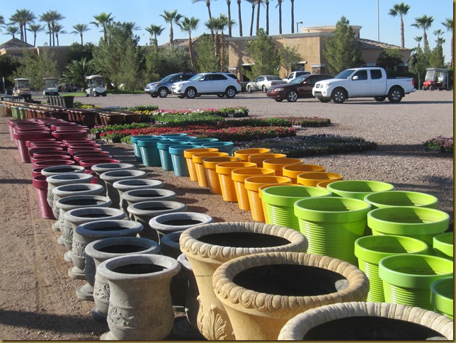 planting pots blog