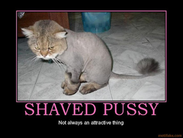shavd pussy