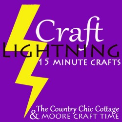 [craft-lightning-2505.jpg]