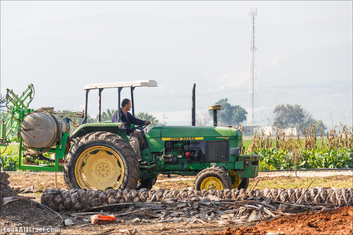 Сельскохозяйственная школа Хава бе-Эден | Hava be-Eden farm | LookAtIsrael.com - Фото путешествия по Израилю | חווה בעדן