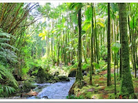 Hawaii Tropical Botanical Garden Price