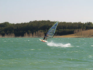 P1011510.JPG
