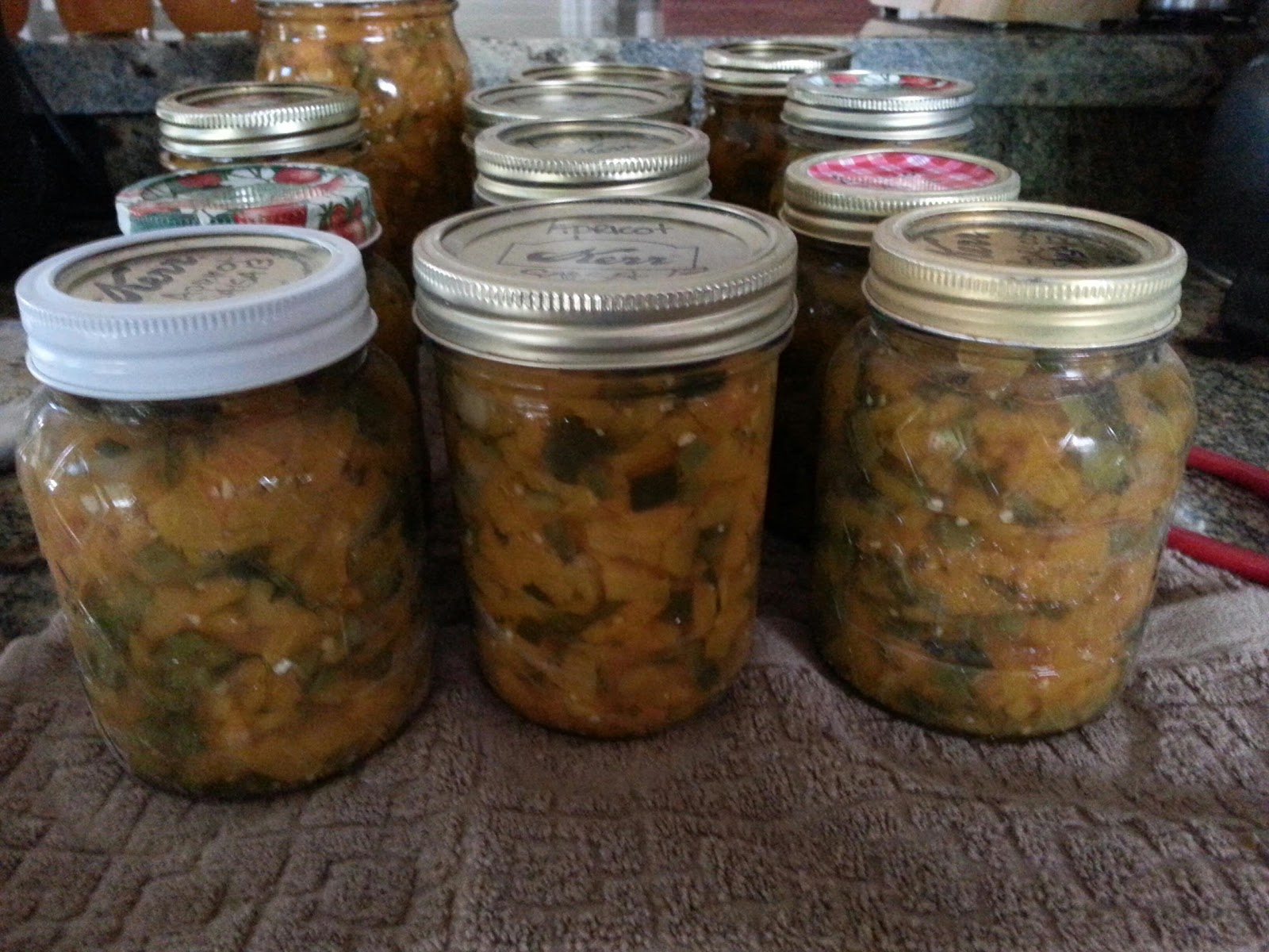 A Berry Simple Life Spicy Canned Apricot Salsa