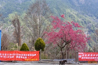 0222 148  - 關原