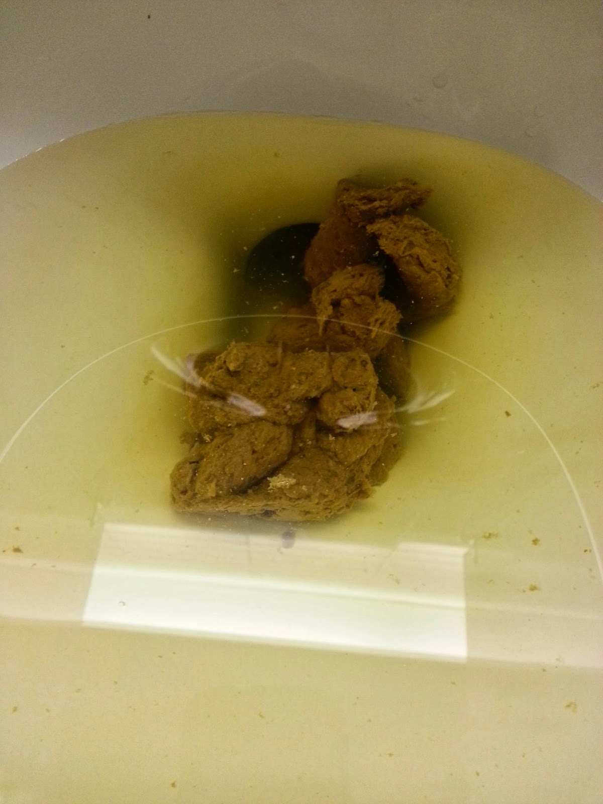 My Daily Poo: March 2014